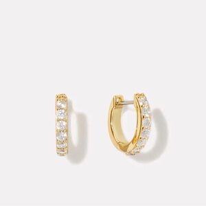 Ana Luisa Gold Hoop Earrings